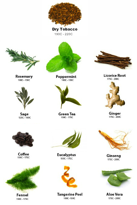 all herbs